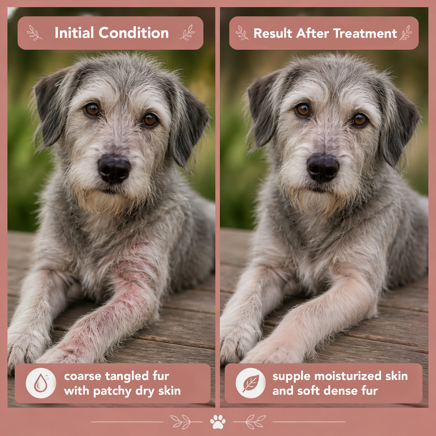 Pawpetual Rosy Glow Rosehip & Calendula Dog Skin Salve