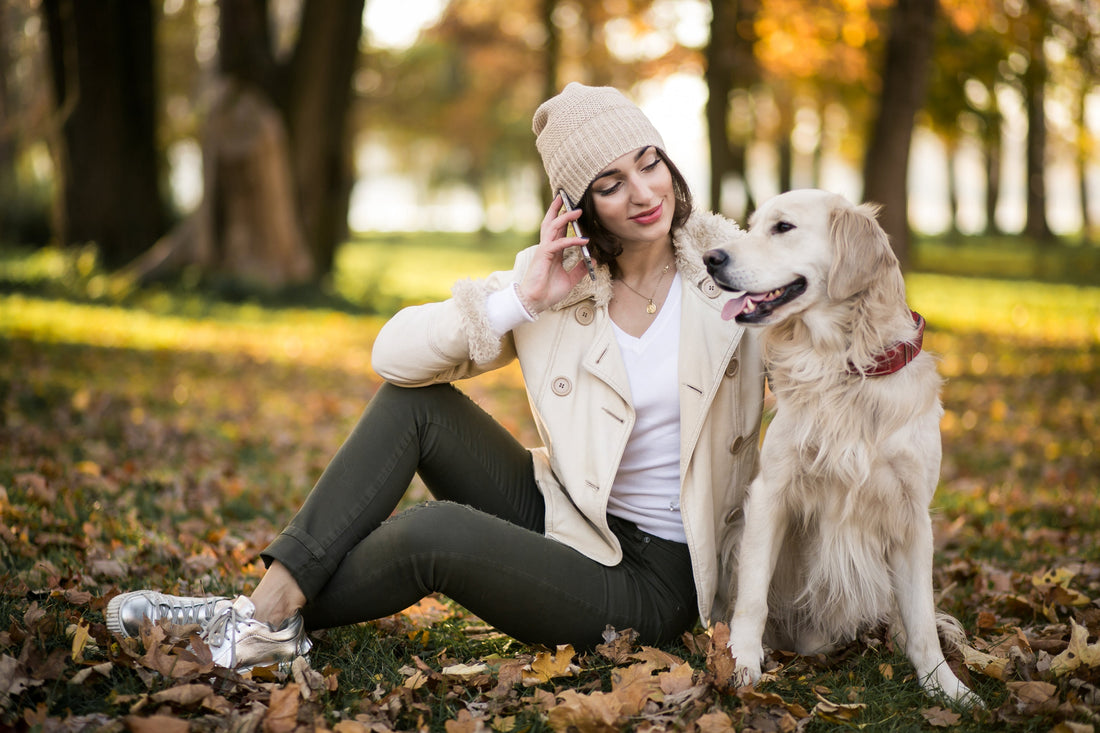 Dog Lifestyle: Simple Ways to Enrich Everyday Life