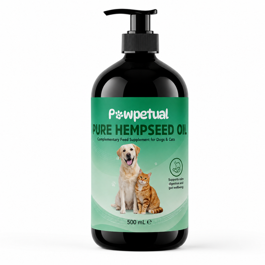 Pawpetual Hemp Oil 500ml