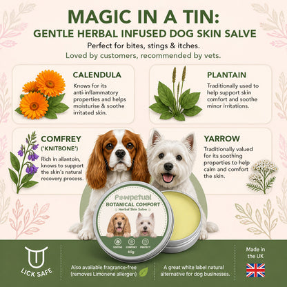 Pawpetual Botanical Comfort Herbal Dog Skin Salve