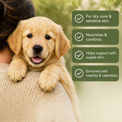 Pawpetual Botanical Comfort Herbal Dog Skin Salve