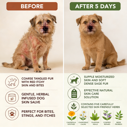 Pawpetual Botanical Comfort Herbal Dog Skin Salve