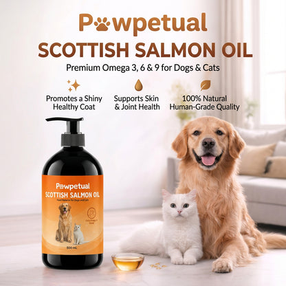 Pawpetual Scottish Salmon Oil 500ml