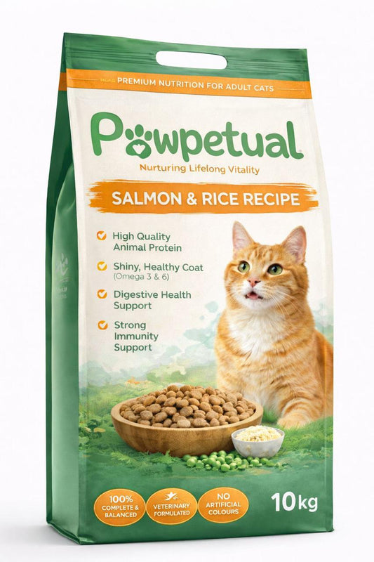 Pawpetual Salmon & Rice Recipe Adult Cat Food Complete & Balanced Nutrition for Healthy Coat & Digestion (10kg)